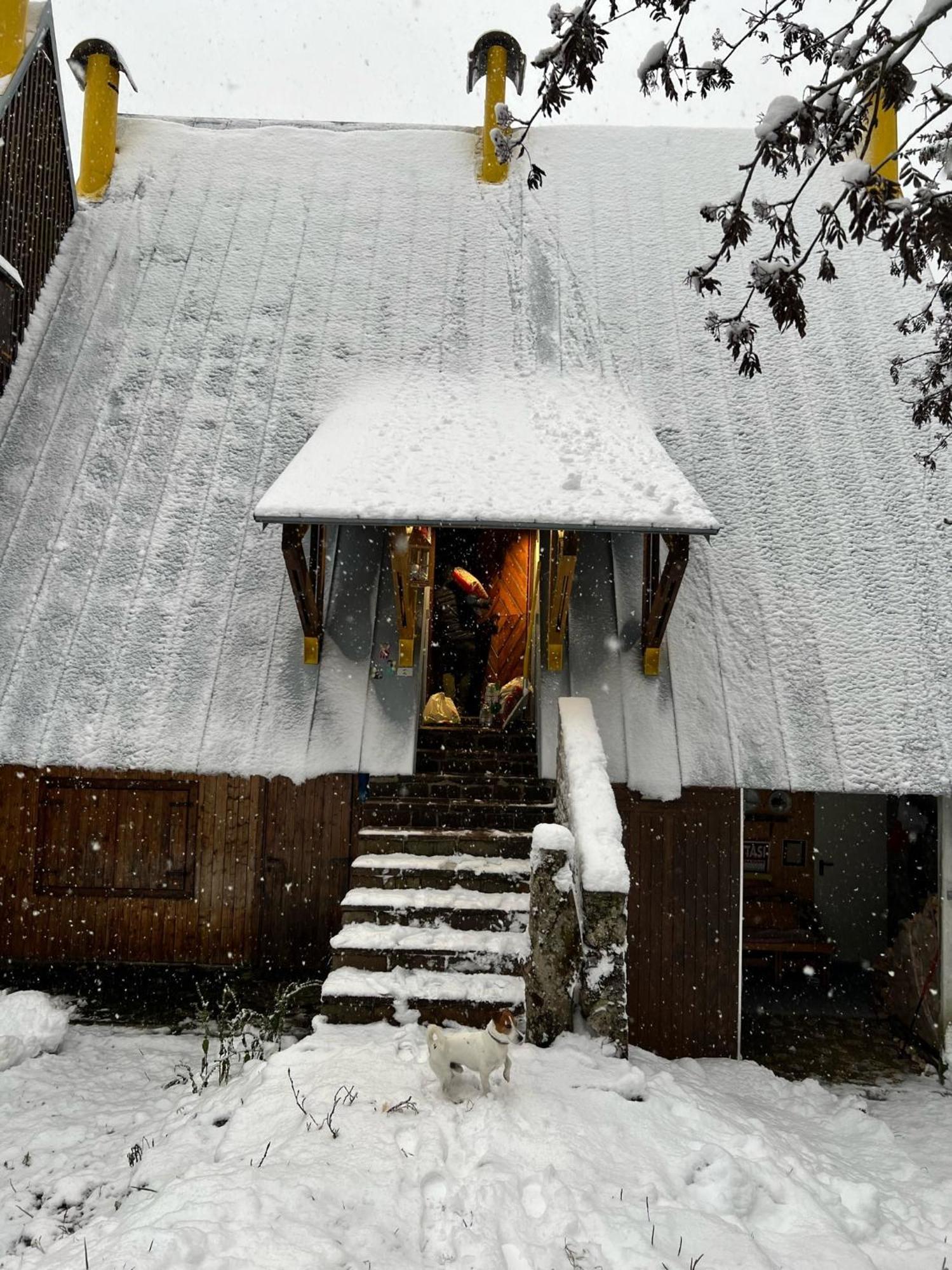 ~Chalet_Rifugio Tra I Boschi~ Sella Nevea Exterior photo